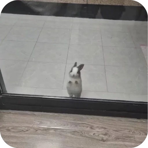 Стикер LioGang - 1