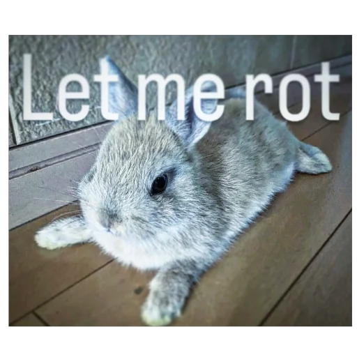 Стикер LioGang - 1