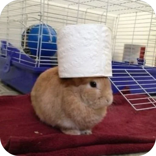 Стикер LioGang - 1