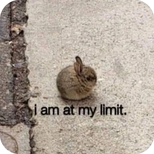 Стикер LioGang - 1