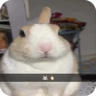 Sticker lio gang - 9