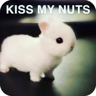 Sticker lio gang - 6