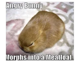 Sticker lio gang - 2