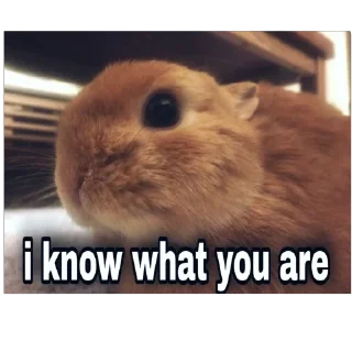 Sticker lio gang - 10