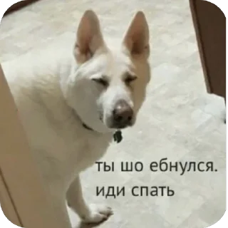 Sticker Lone wolf Stickers - 6