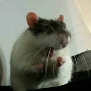 Sticker Lone wolf Stickers - 10