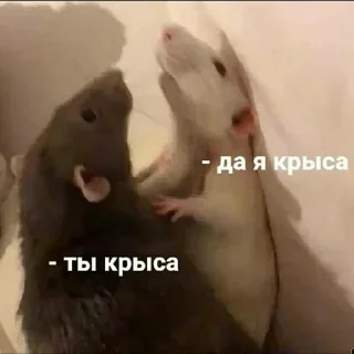 Sticker Lone wolf Stickers - 11