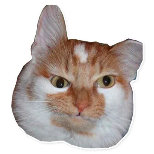 ЛучшееСтатик - 