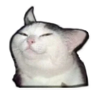 Sticker ЛучшееСтатик - 7