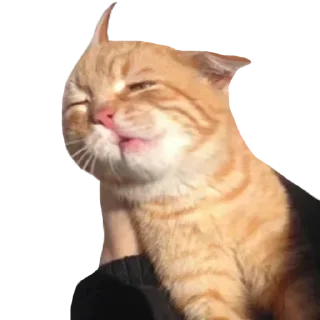 Sticker ЛучшееСтатик - 8