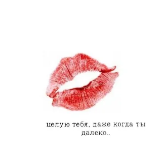 Sticker Стикеры от  @zlokotik - 7