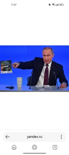 Sticker Lubimka_Argus_solo_by_TgEmodziBot - 1