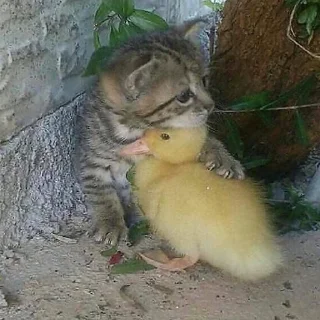 Sticker лучшее из существующего - 3