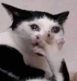 Sticker лучшее из существующего - 1