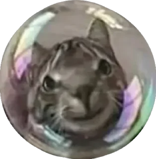 Sticker лучшее из существующего - 10