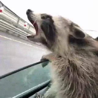 Sticker лучшее из существующего - 6