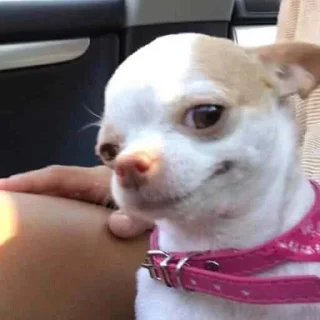 Sticker лучшее из существующего - 0