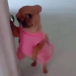 Sticker лучшее из существующего - 9