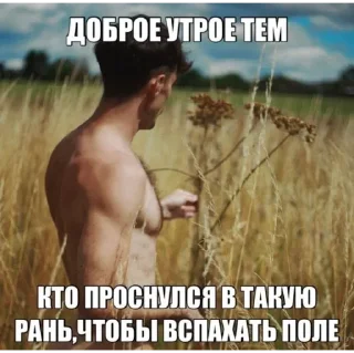 Sticker MOROZILKA: Легенды - 5