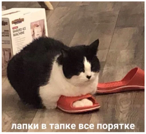 Больше стиков тут: @stikery4 - 