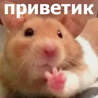 Sticker Больше стиков тут: @stikery4 - 8
