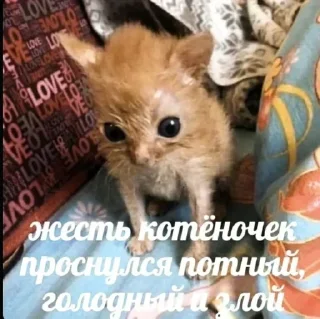 Sticker Больше стиков тут: @stikery4 - 7