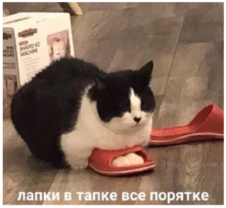 Sticker Больше стиков тут: @stikery4 - 6