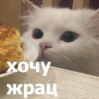 Sticker Больше стиков тут: @stikery4 - 4