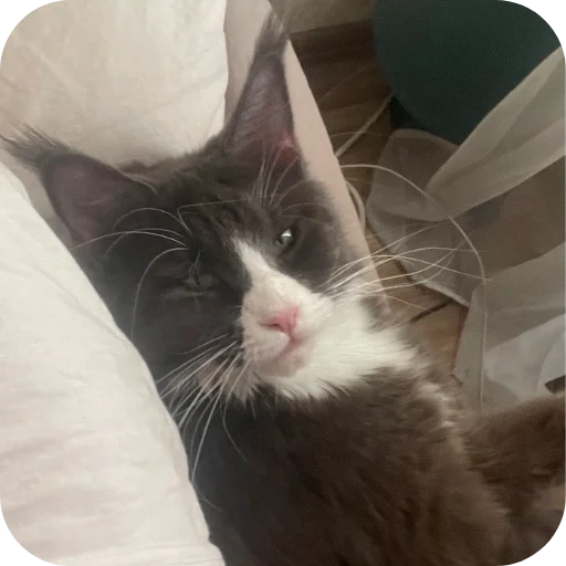 Стикер M_B_P - 1