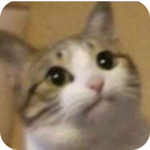 𝐊𝐚𝐫𝐦𝐚𝐬𝐡𝐞𝐤🦆🐈 - 