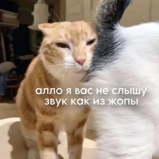 Sticker Mafiaaifam - 1