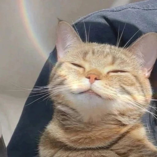 Sticker Mafiaaifam - 1