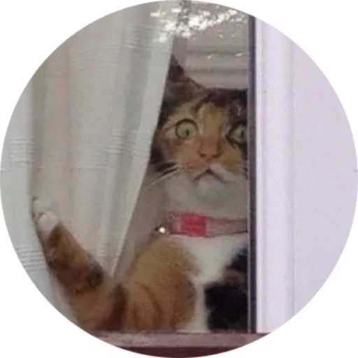 Sticker Mafiaaifam - 1