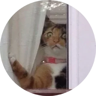 Стикер ПиЧатик - 11