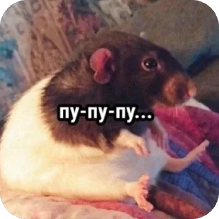 Sticker Мафия1 - 1