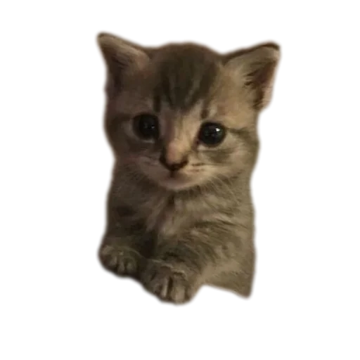 Май стикерпак - 