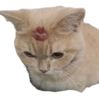 Sticker Май стикерпак - 7