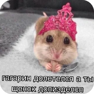 Sticker Май стикерпак - 10