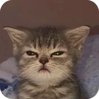 Sticker Май стикерпак - 4