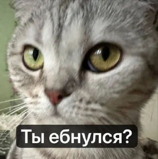 Sticker Margo @TgEmodziBot - 7