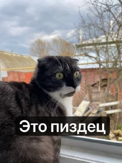 Sticker Margo @TgEmodziBot - 6