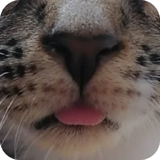 Sticker МаркиzZzzZz - 2