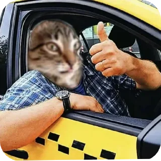 Sticker МаркиzZzzZz - 6