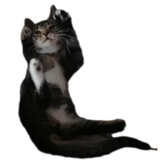 Sticker МаркиzZzzZz - 5