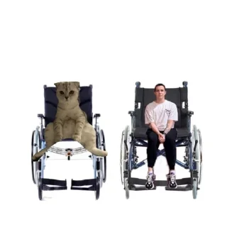 Sticker мазейки канон😍 - 2