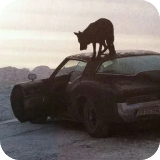 Sticker Meaning @StickersDVM - 9