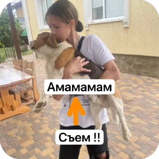 Стикер Мем Кенты - 11