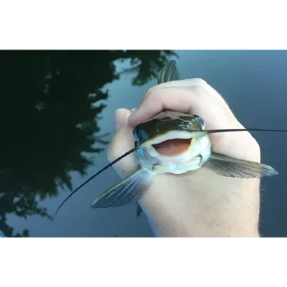 Стикер Пиздец - 0