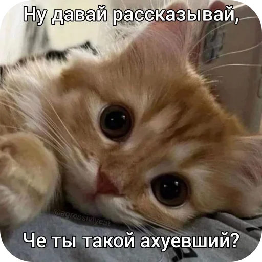 Sticker Mem_pack_by_e4zybot - 1