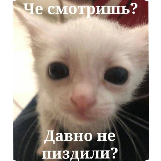 Sticker Mem_pack_by_e4zybot - 1